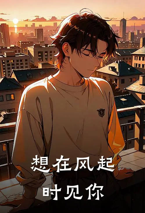 想在风起时见你