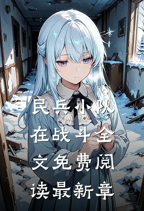 民兵小队在战斗全文免费阅读最新章